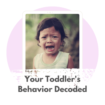 Toddler Behavior Decoded Ebook